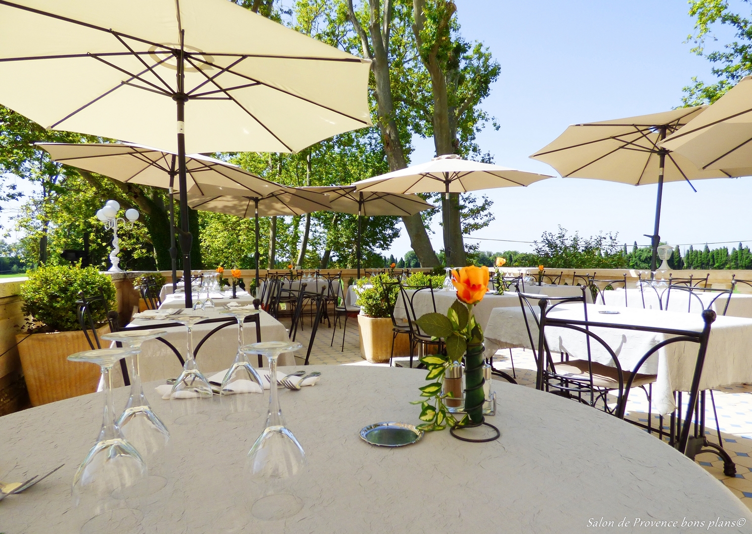 restaurant sur salon de provence (Copier) Restaurant Bouches du Rhône